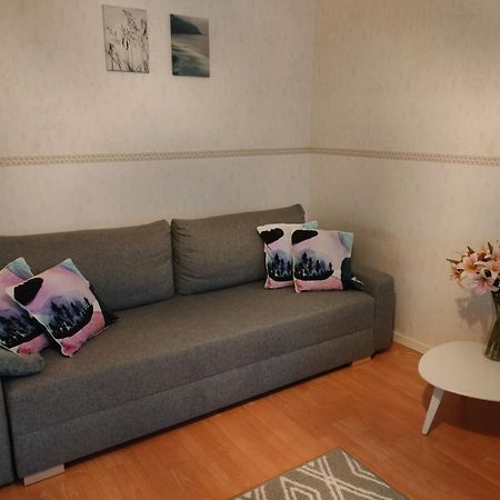 Spacious Apartment With Balcony And Free Wifi 罗瓦涅米 外观 照片